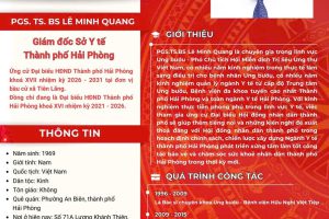 TIỂU SỬ TÓM TẮT NGƯỜI ỨNG CỬ ĐẠI BIỂU HĐND THÀNH PHỐ HẢI PHÒNG KHÓA XVII, NHIỆM KỲ 2026 – 2031